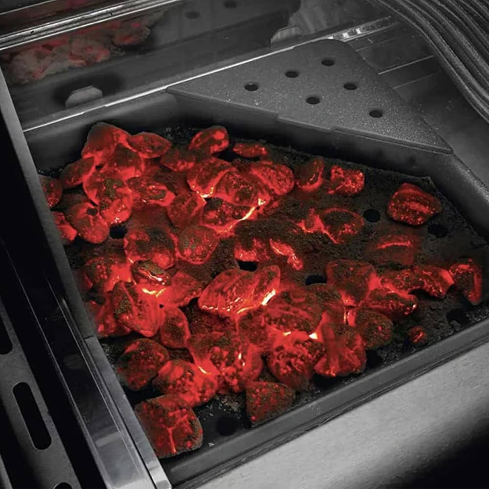 Barbecue a Gas e Carbone