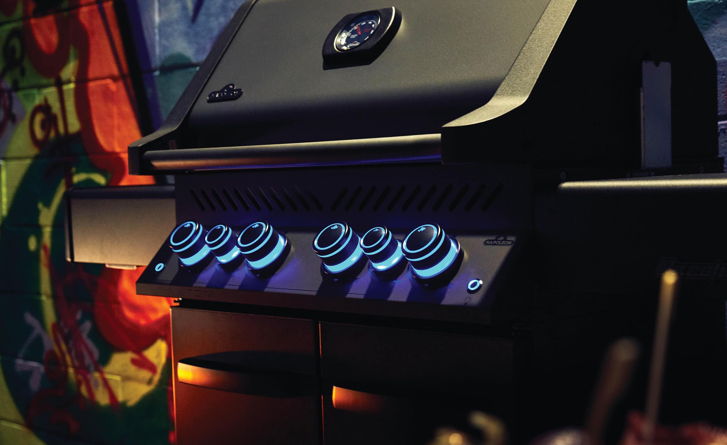 Barbecue a gas con manopole di sicurezza