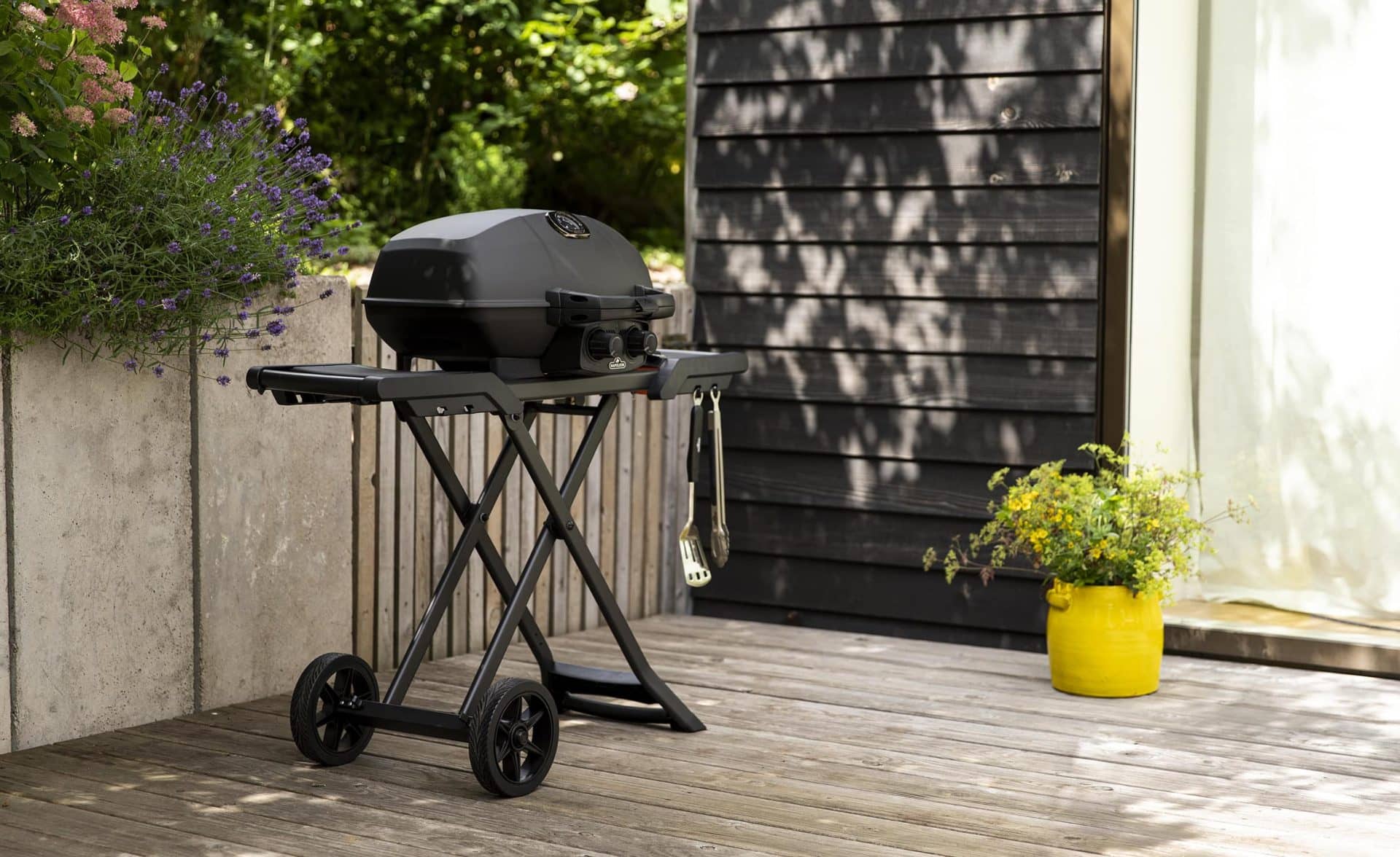 Barbecue a gas pieghevole