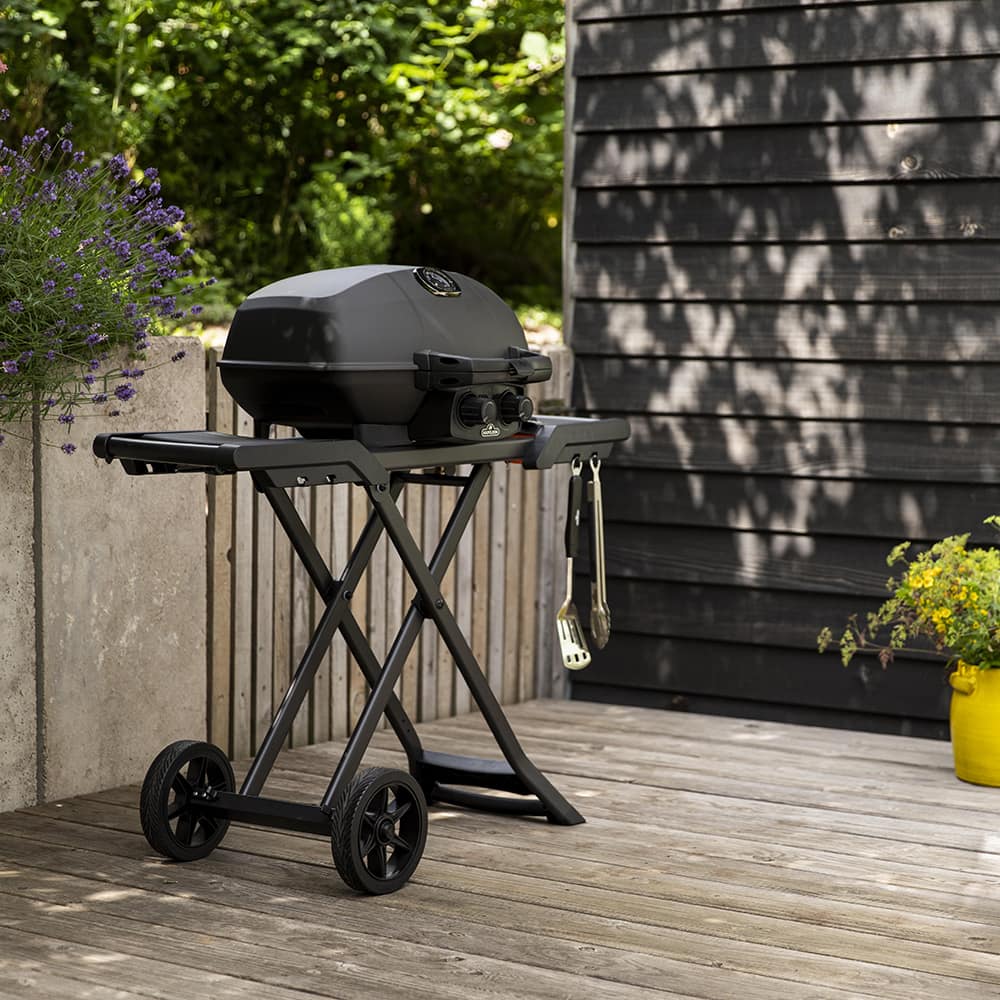 Barbecue a gas pieghevole