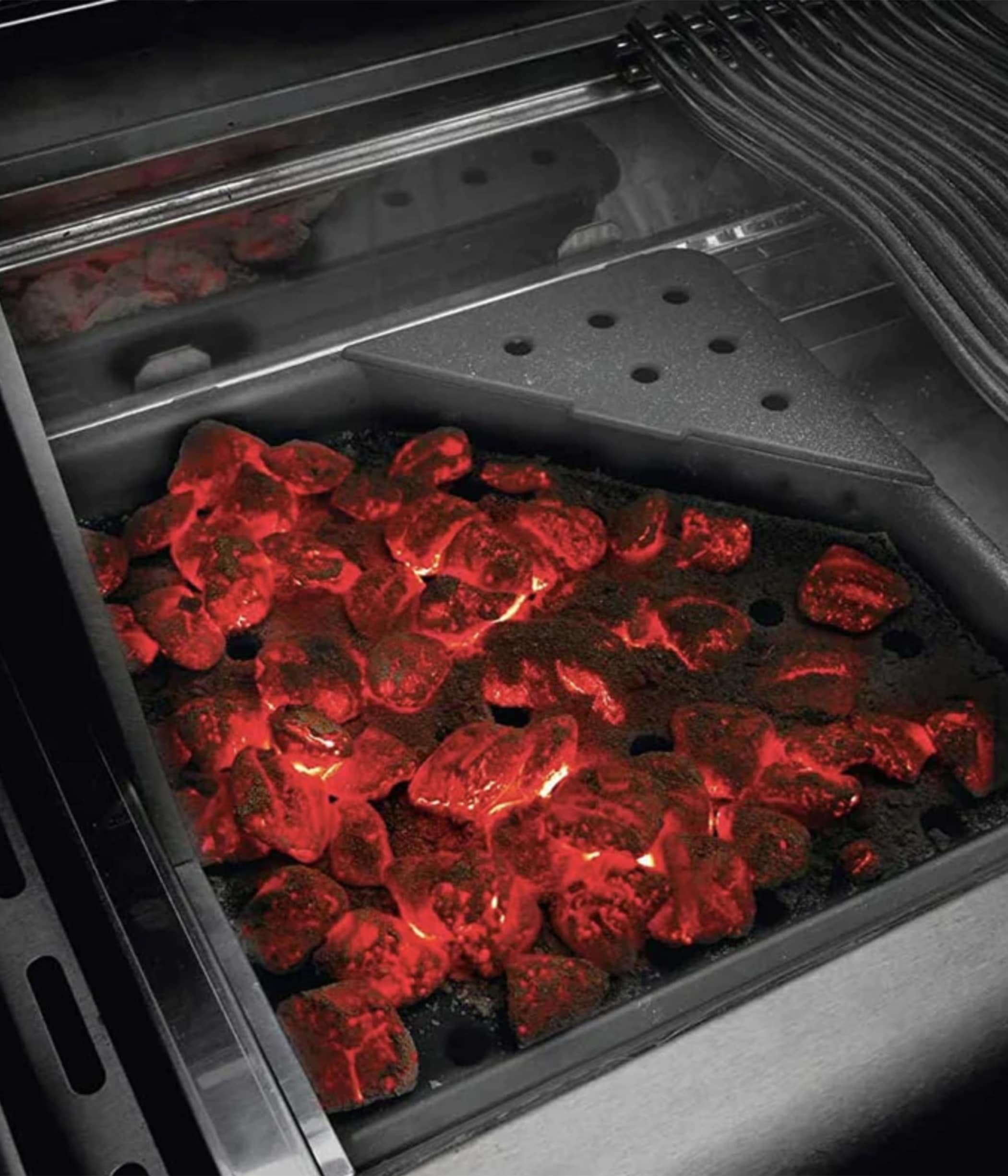 Barbecue a Gas e Carbone