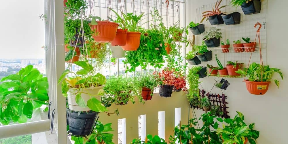 orto sul balcone