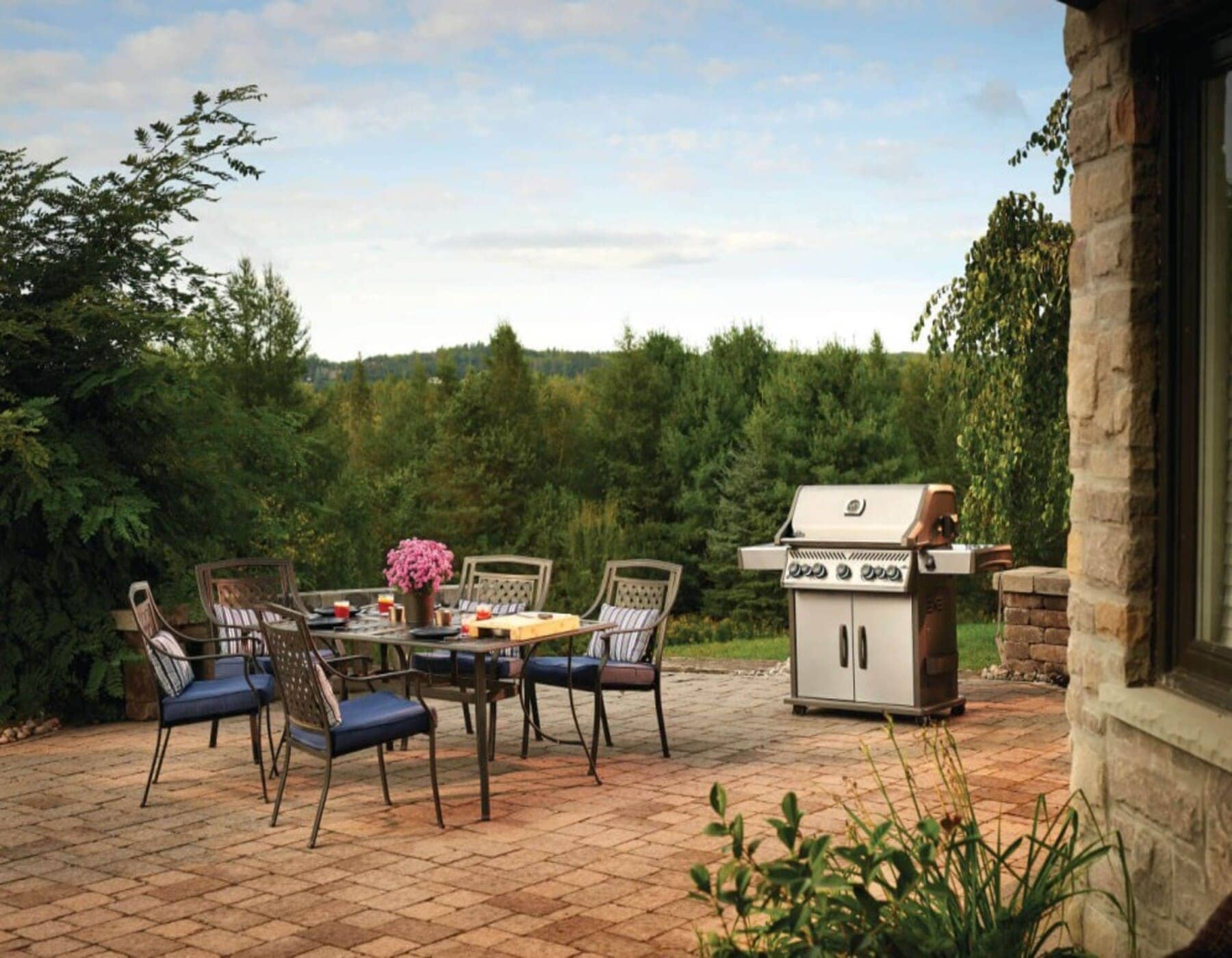 Napoleon Barbecue a Gas Rogue RSE625RSIB